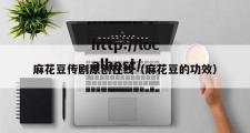 麻花豆传剧原创在线（麻花豆的功效）